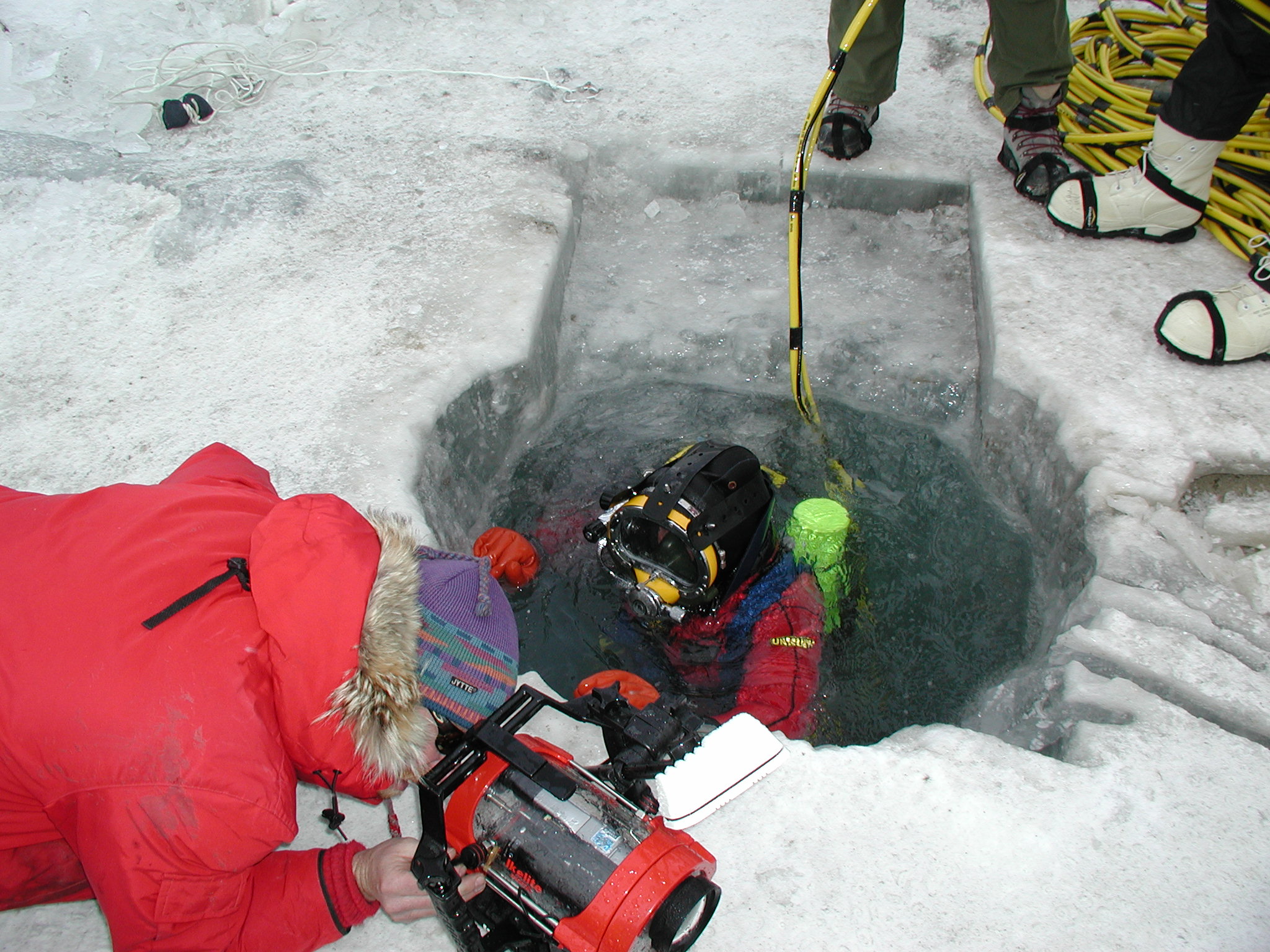 Diver collecting lake algae 1